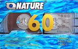 Compact Cassette:  Nature - AE 60