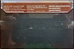 Compact Cassette 3M Cleaning Cassette 1979 Europe