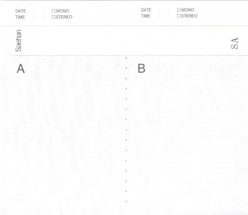 Compact Cassette: Saehan  - SA 120