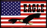 cover of Cassette Eagle Computer Cassette