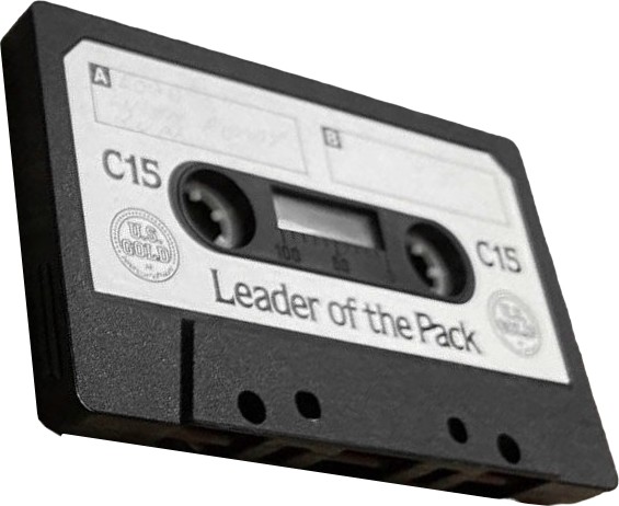 Compact Cassette Leader Of The Pack 15 Computer Cassette Worldwide