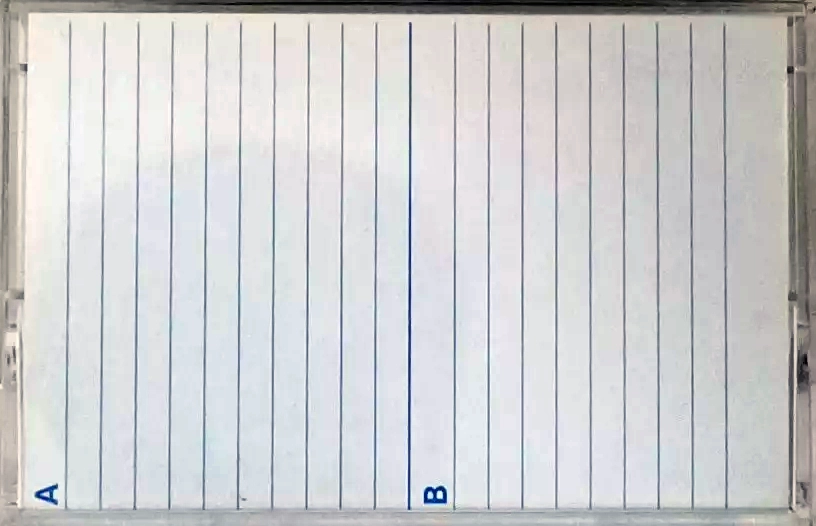 Compact Cassette Sony FN 90 Type I Normal 1985 North America